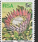 [Flora - Protea Plants, тип PK]