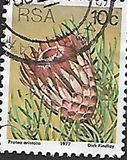 [Flora - Protea Plants, тип PP]