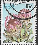 [Flora - Protea Plants, тип PQ]