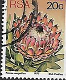 [Flora - Protea Plants, тип PR]