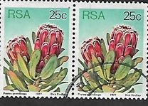 [Flora - Protea Plants, тип PS]