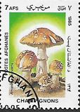 [Flora - Mushrooms, Scrivi ABT]