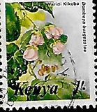 [Flowers, type MA]