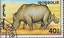 [African Wildlife, tip CCN]
