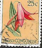 [Fiori - Tipografia: Courvoisier (Helio Courvoisier) S. A., Scrivi EG]