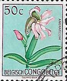 [Fiori - Tipografia: Courvoisier (Helio Courvoisier) S. A., Scrivi EI]