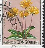 [Fiori - Tipografia: Courvoisier (Helio Courvoisier) S. A., Scrivi ET]