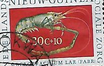 [Social Care - Crabs, type AJ]
