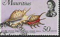 [Marine Life, Tipi FI]