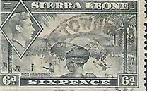 [King George VI - Rice Harvest, ประเภท AE5]