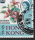 [Local Motives, type BN]