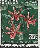 [Local Motifs, type CO]