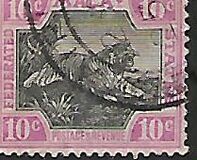 [Tiger - Different Watermark, type C20]