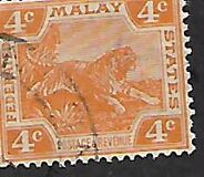 [Tiger - Different Watermark, tip C47]