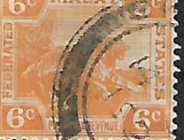 [Tiger - Different Watermark, tip C50]