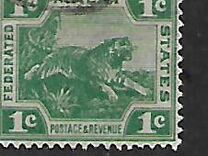 [Tiger - Different Watermark, tip C40]