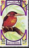 [Birds, type UG]