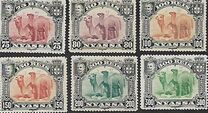[Dromedary Camels, tegund D]