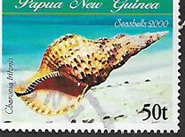 [Sea Shells, tip AED]