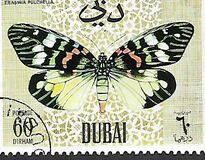 [Butteflies, jenis GH]