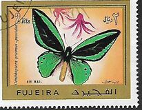 [Butterflies, Scrivi AAZ]