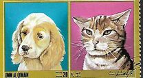 [Dogs and Cats, տեսակ YS]