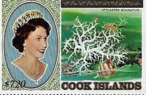 [Cnidarians, type QT3]