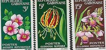 [Flora., tipo CD]