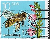 [Honey Bees, Tipe DFS]