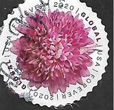 [Flowers - Chrysanthemum, प्रकार IHU]