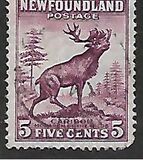 [Newfoundland Issue, type DS]