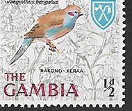 [Birds, type BM]