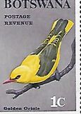 [Birds, type S]
