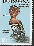 [Birds, type T]
