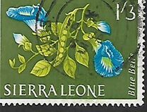 [Flowers, タイプ BZ]