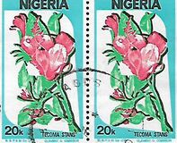 [Nigerian Life, tipas PB]