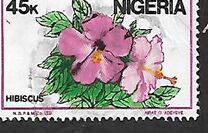 [Nigerian Life, tipas PF]