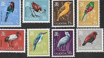 [Birds, type Y]