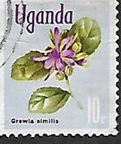 [Flowers, type AQ]