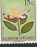 [Indigenous Flora, प्रकार AX]