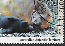 [Antarctic Wildlife, tip CM]