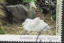 [Antarctic Wildlife, tip CN]