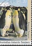 [Antarctic Wildlife, tip CP]