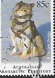 [Departure of Huskies from Antarctica, סוג CV]