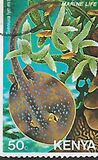 [Marine Life, type FM]