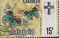 [Butterflies - New Crest, type CC]