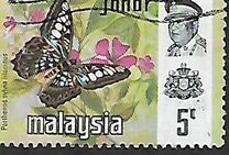 [Butterflies, type AW]