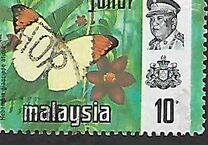 [Butterflies, type AY]