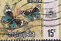 [Butterflies, type AR]
