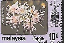 [Flowers, प्रकार T]